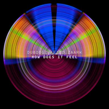 How Does It Feel - Dubdogz