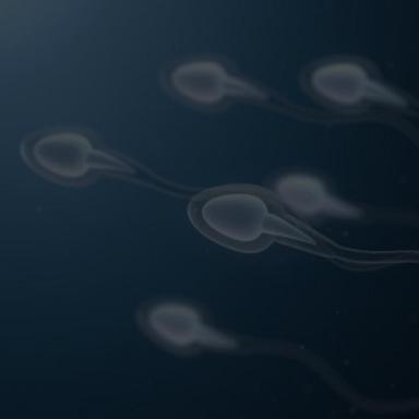 ospermione żelki - Gejlon