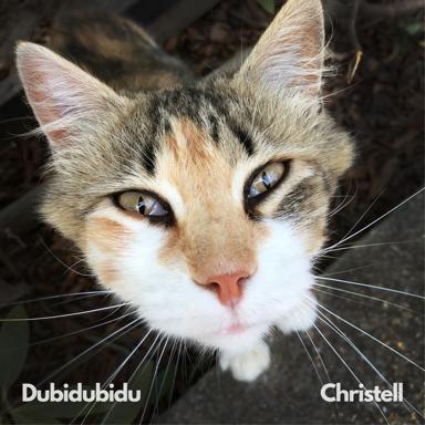 Dubidubidu (Chipi Chipi Chapa Chapa) - Christell