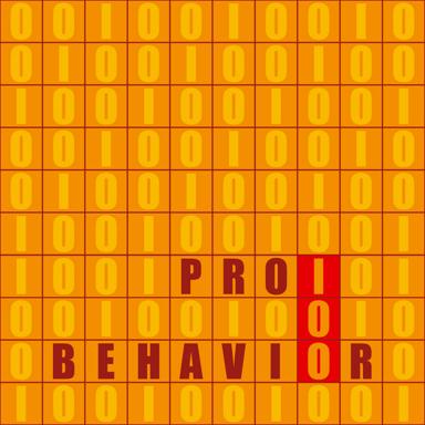 Guantanamo - Behavior