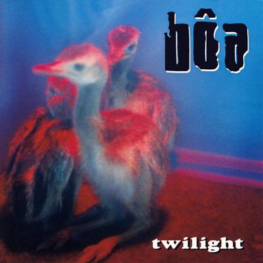 Twilight - bôa