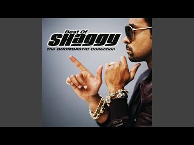 It Wasn't Me - Shaggy - Topic